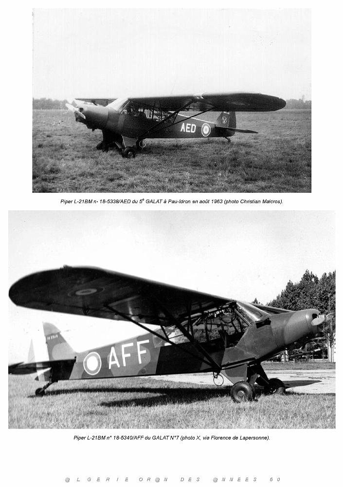 Piper L-21B_000032.jpg